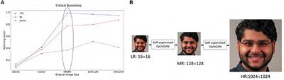 Toward extreme face super-resolution in the wild: A self-supervised learning approach